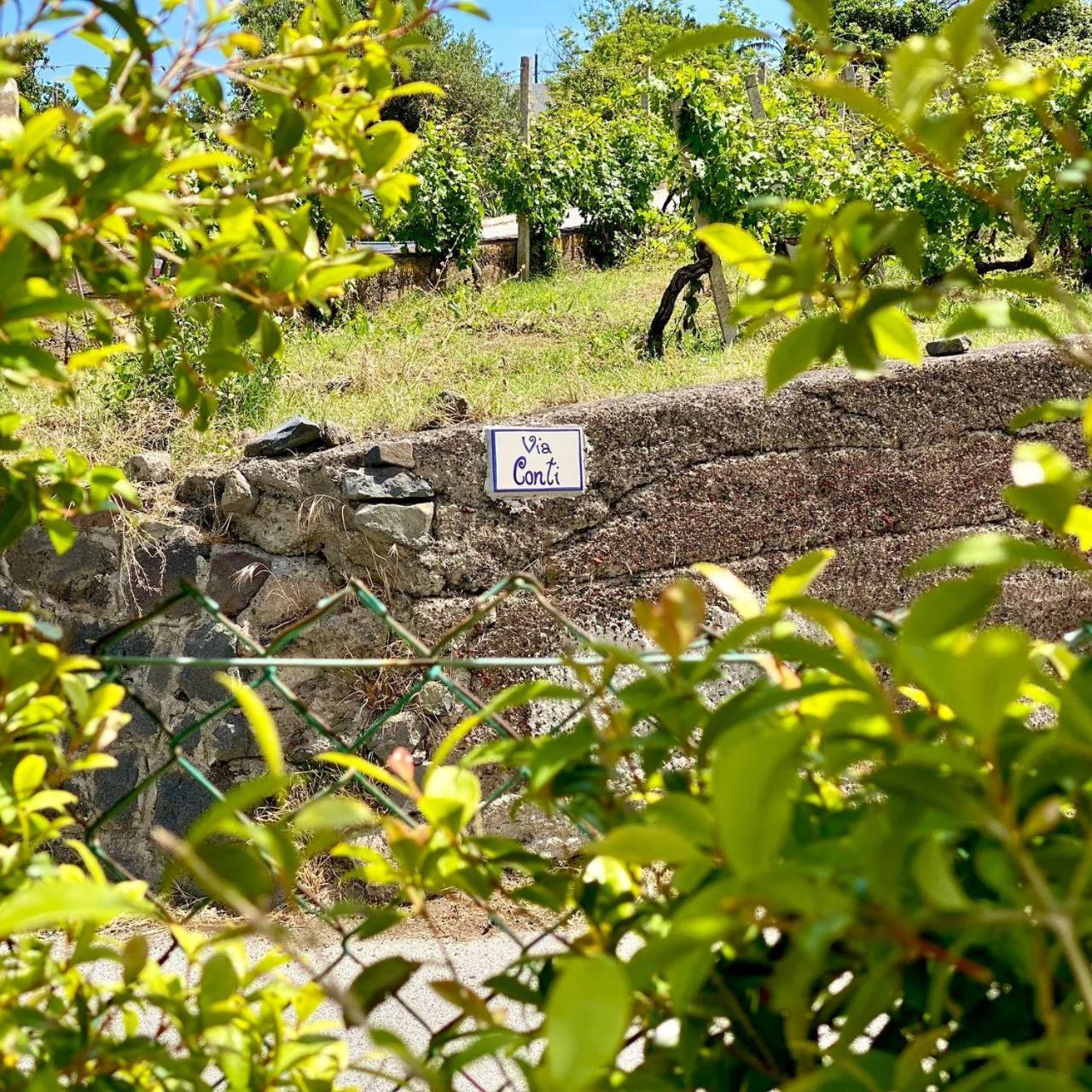 Villa Casa Zagami à Malfa  Extérieur photo